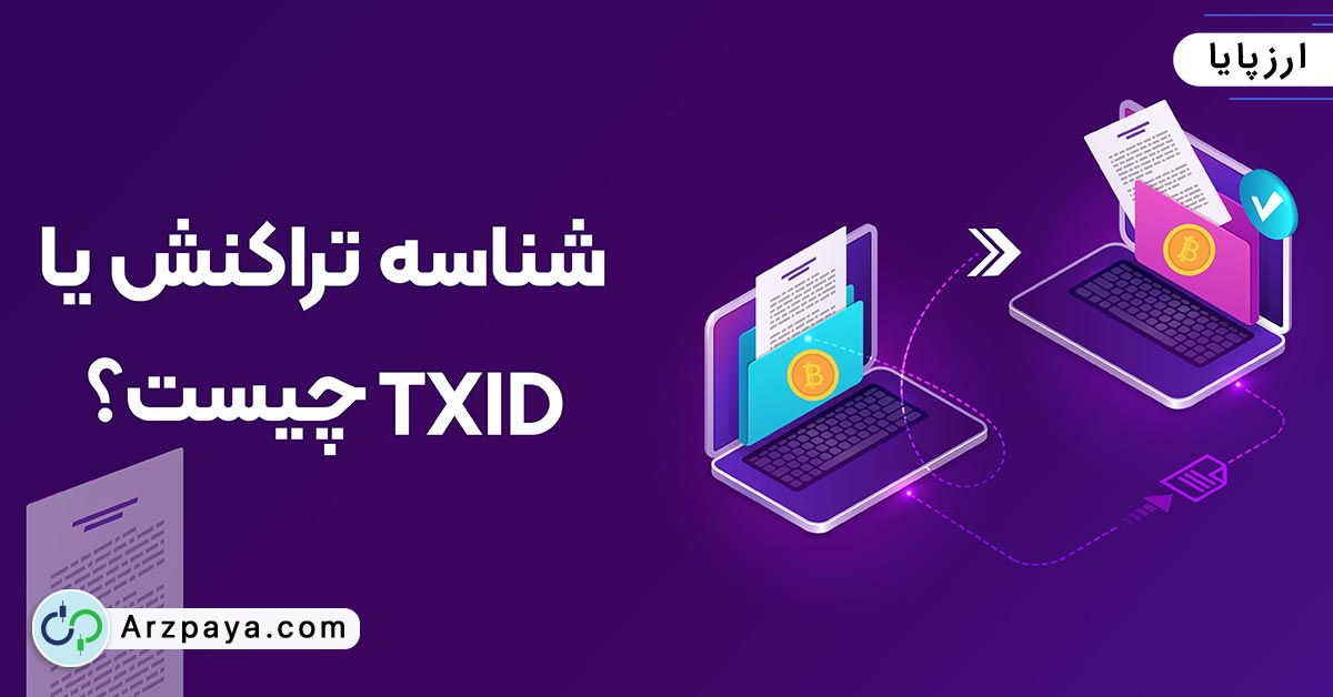 شناسه تراکنش TXID چیست؟